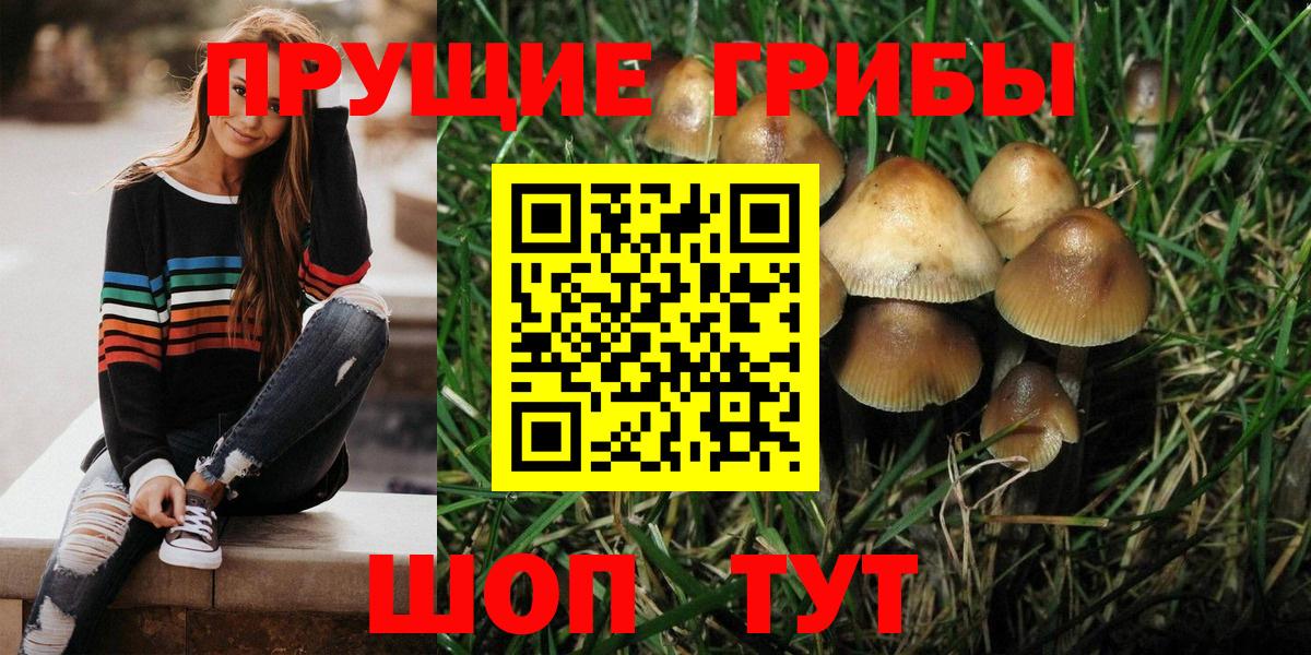 Галлюциногенные грибы Psilocybine cubensis  закладка  Каменск-Уральский  Вход с VPN 
