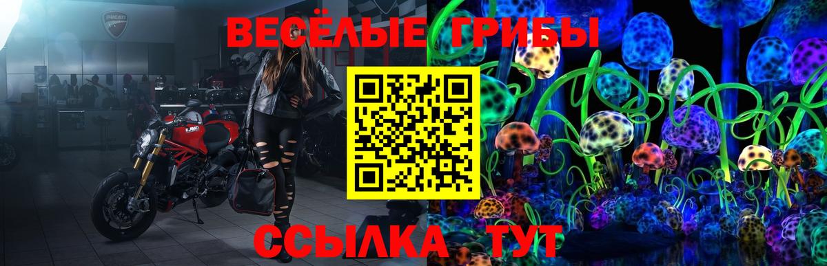 Псилоцибиновые грибы мицелий Каменск-Уральский